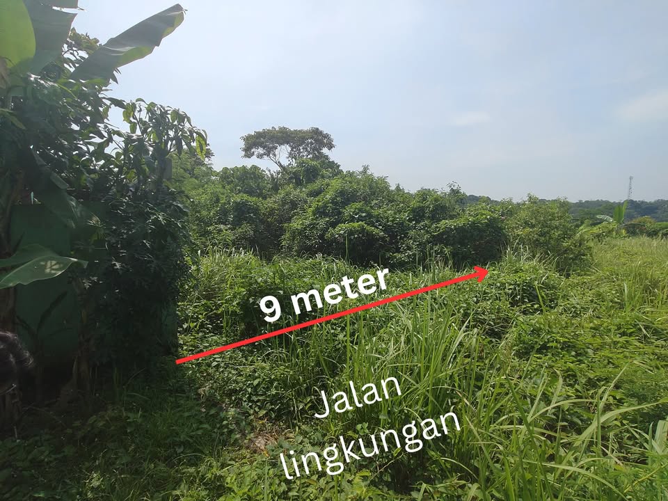 Foto tanah kavling 180m² di Pandeglang Banten dengan akses jalan dua sisi